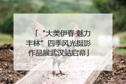 “大美伊春·魅力丰林”四季风光摄影作品展武汉站启幕